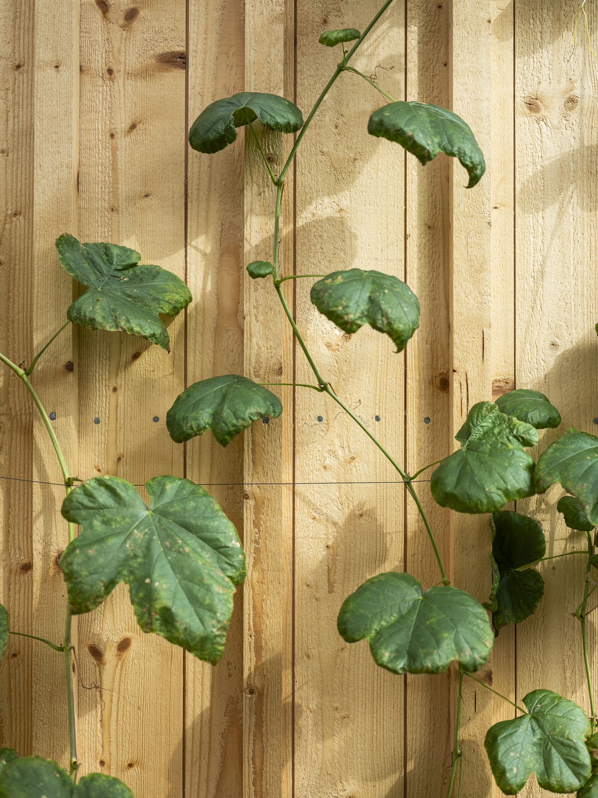 Philip_Liljenberg_GHL_Villa_Wadefalk_250827_11