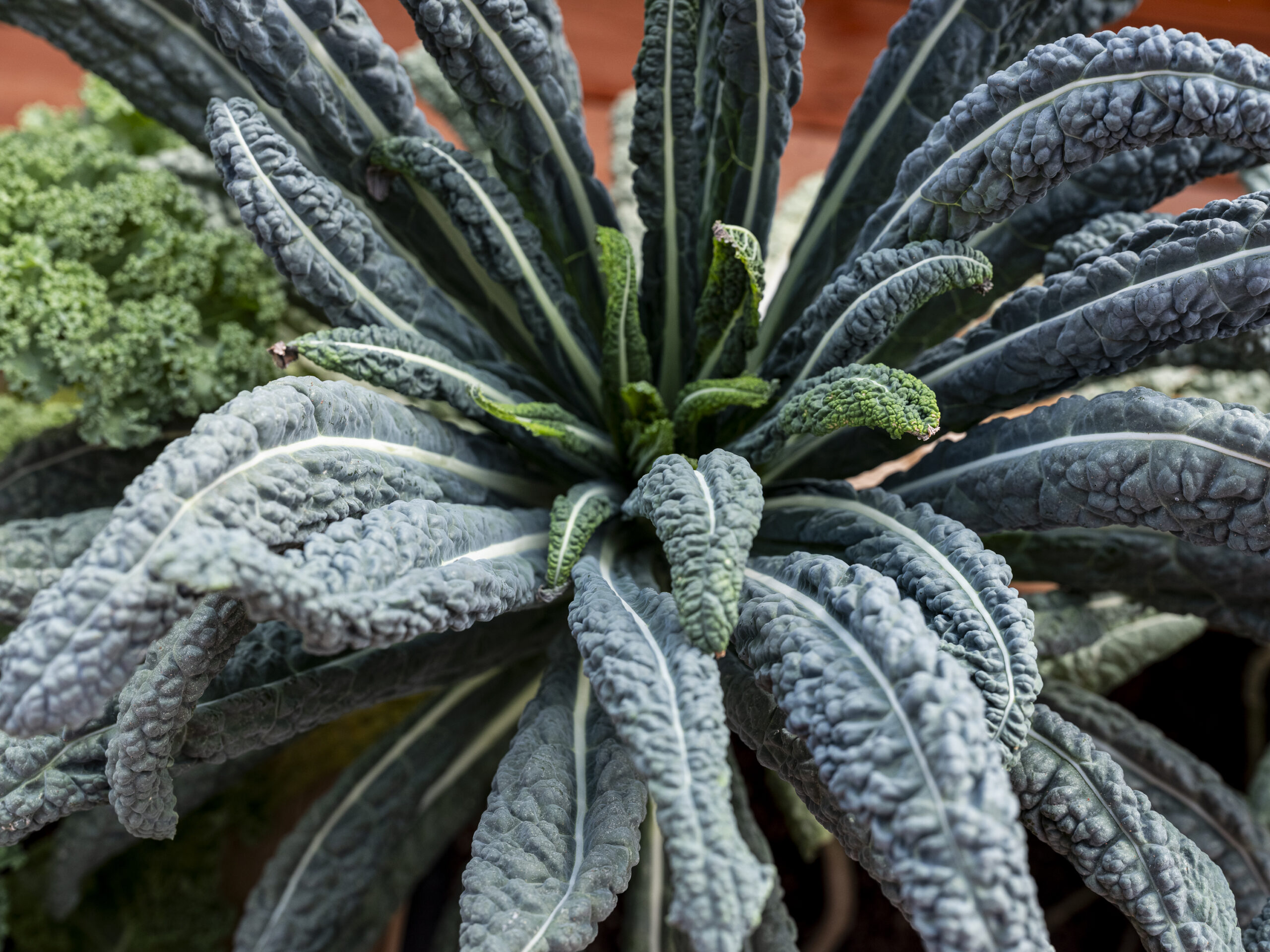 Philip_Liljenberg_Atri_250912_13