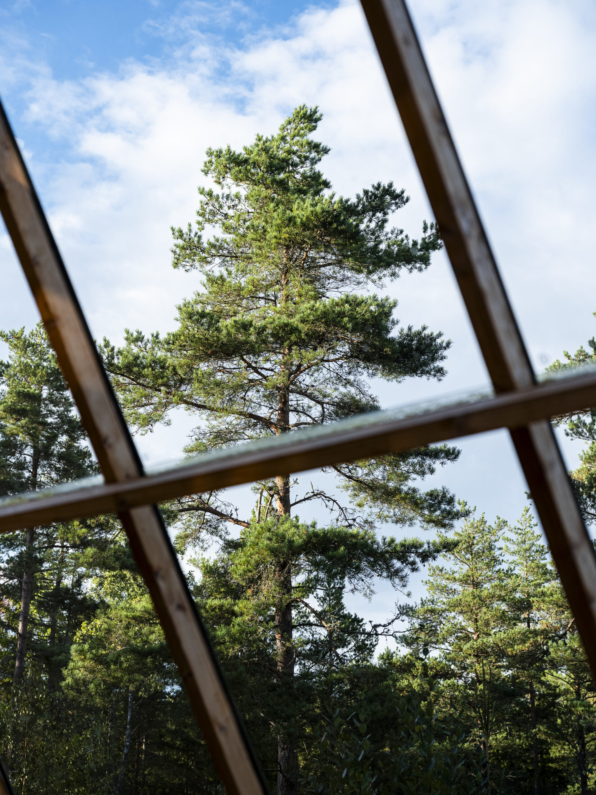 Philip_Liljenberg_Atri_250912_27