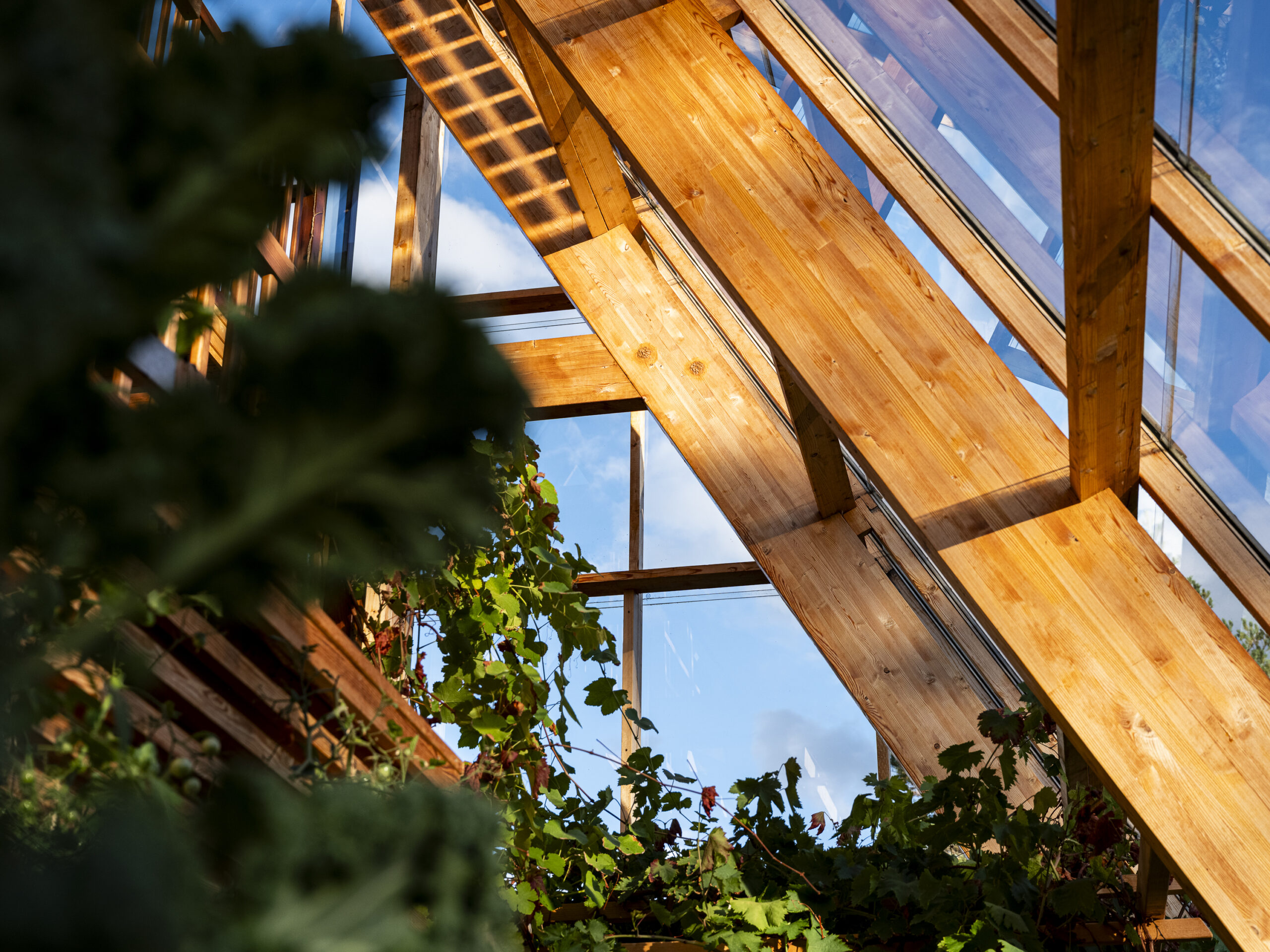 Philip_Liljenberg_Atri_250912_32