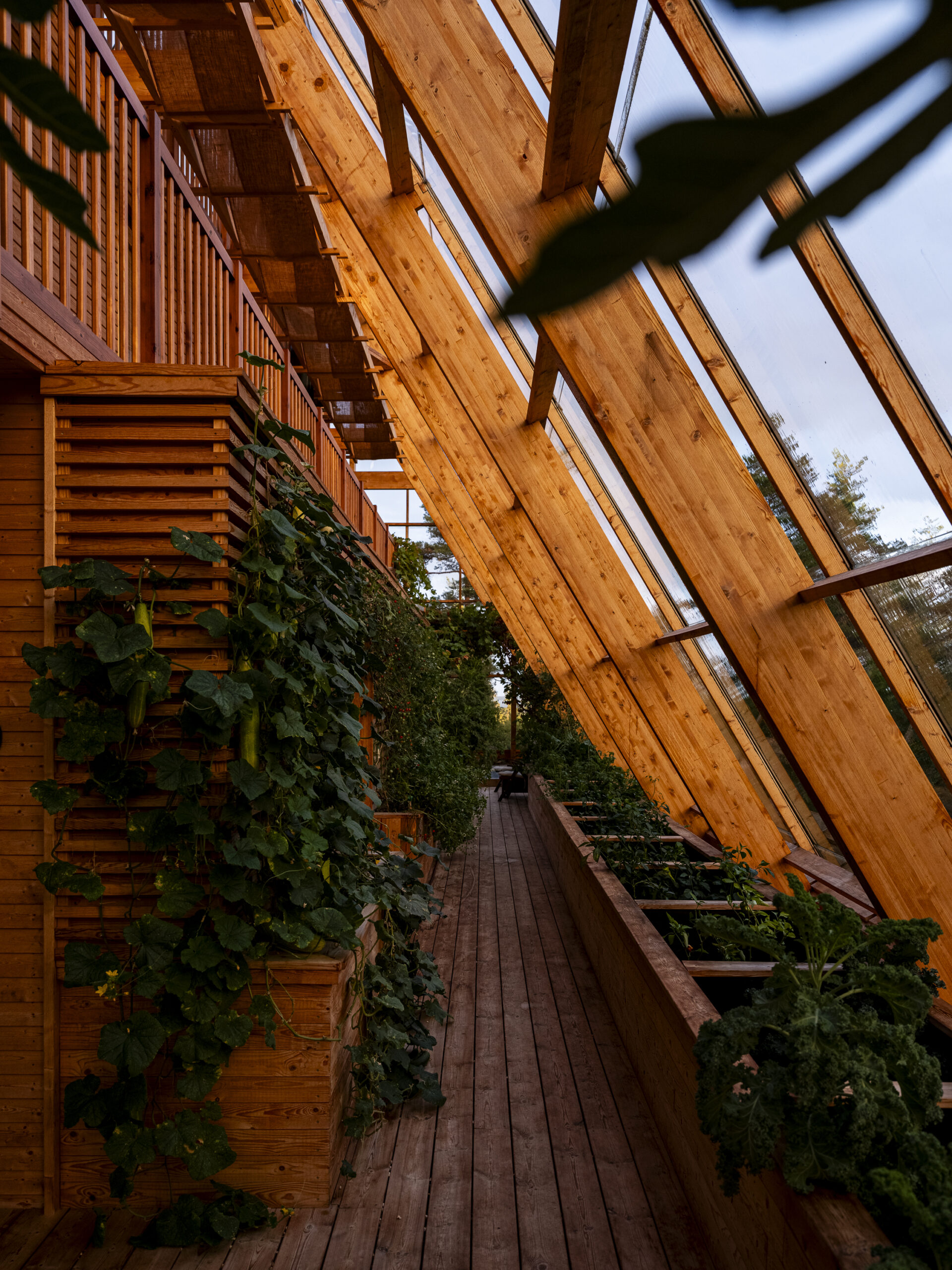 Philip_Liljenberg_Atri_250912_45