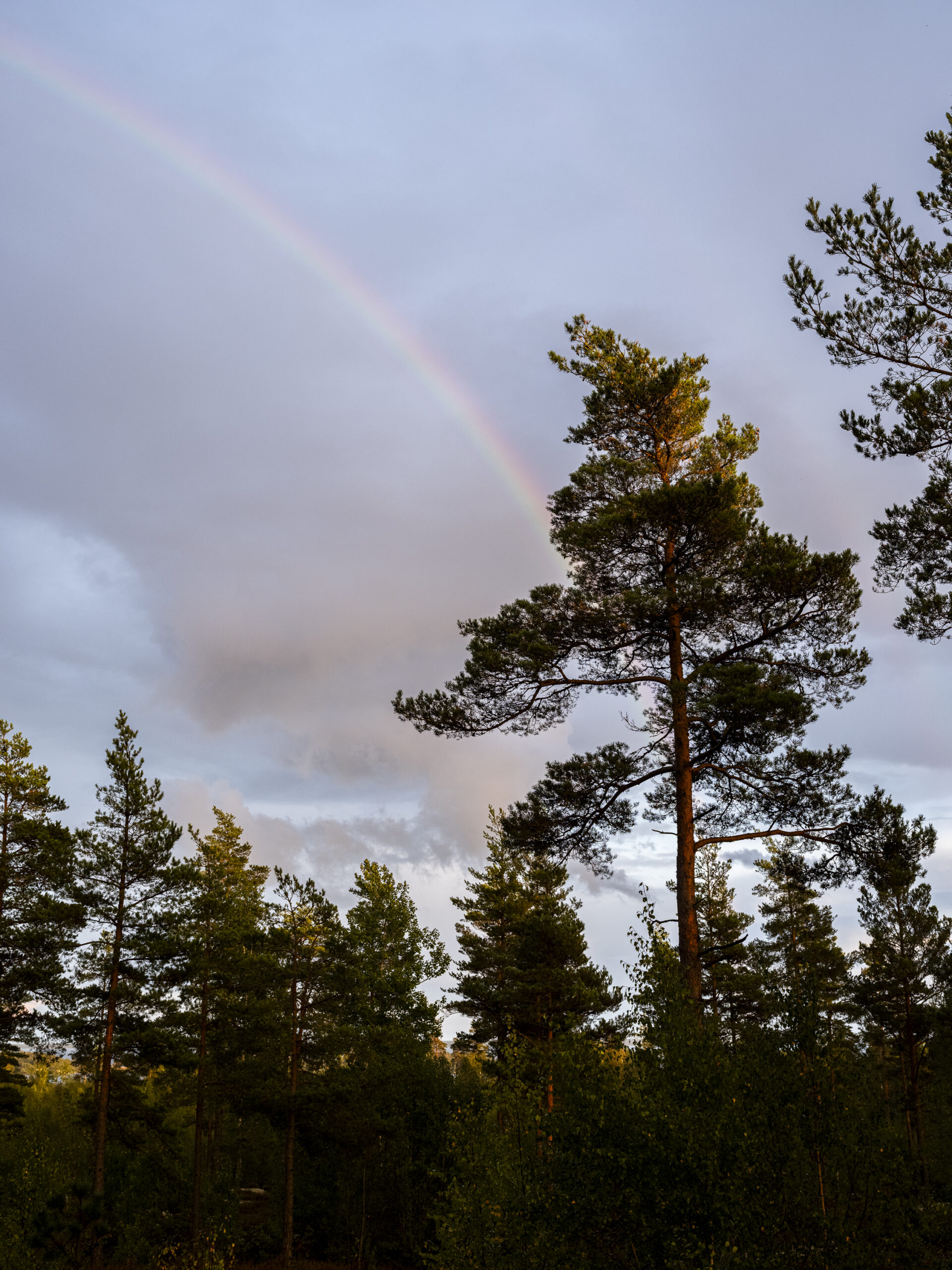 Philip_Liljenberg_Atri_250912_50