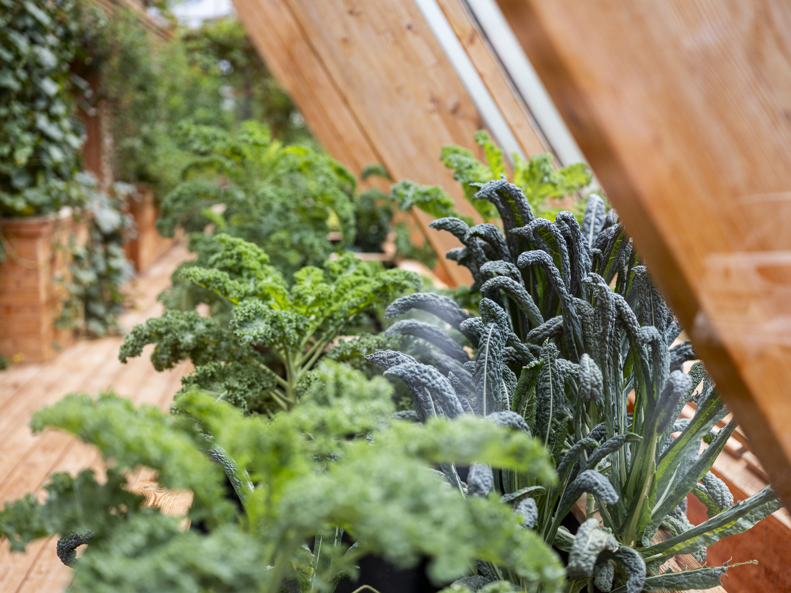 Philip_Liljenberg_Atri_250913_08