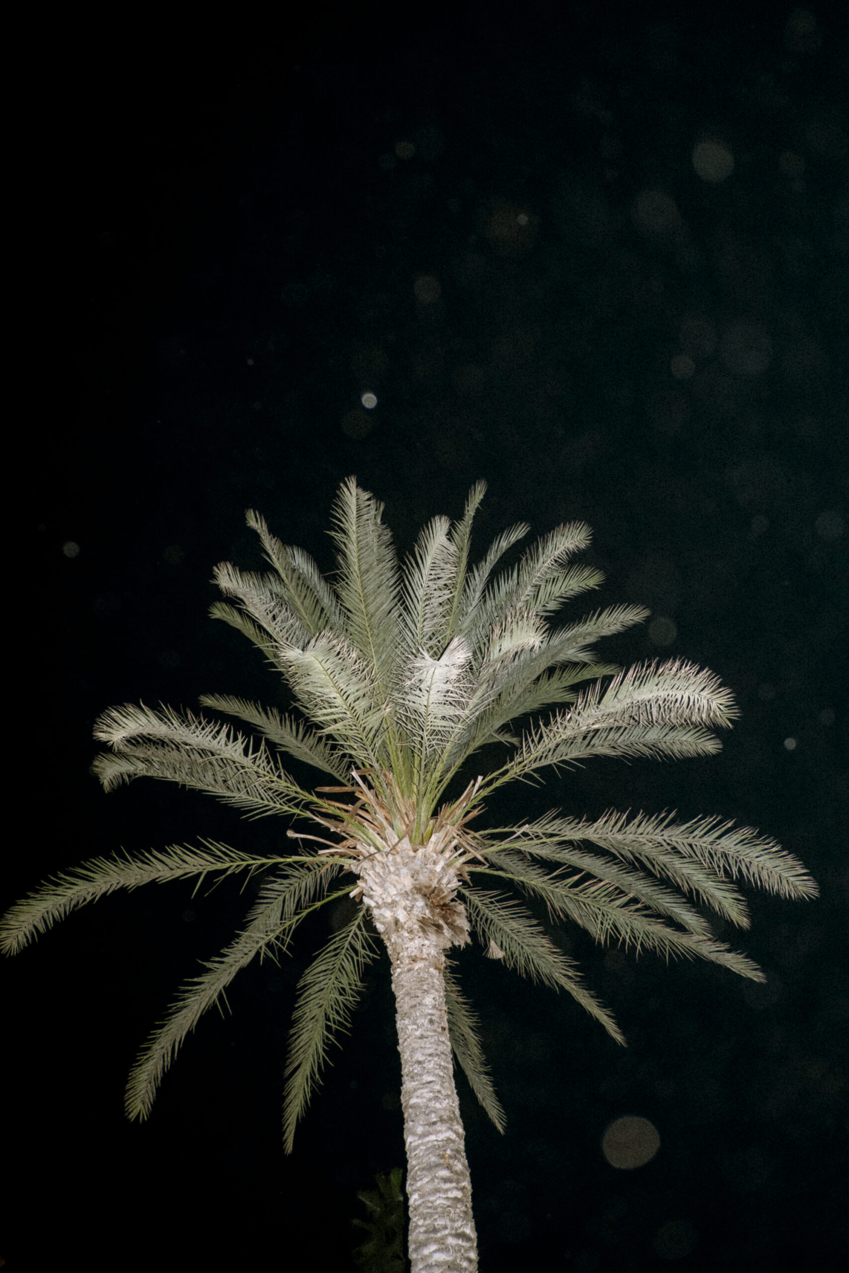 Philip_Liljenberg_Cypern_05