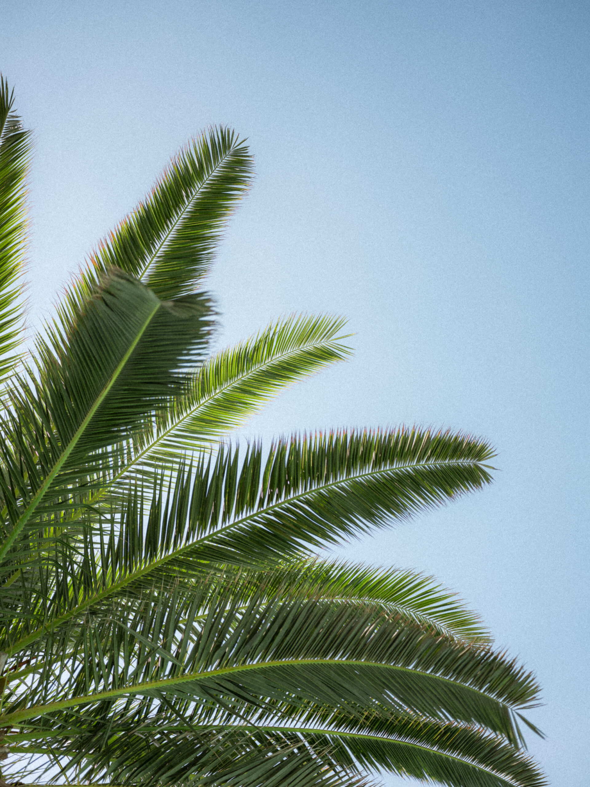 Philip_Liljenberg_Cypern_10