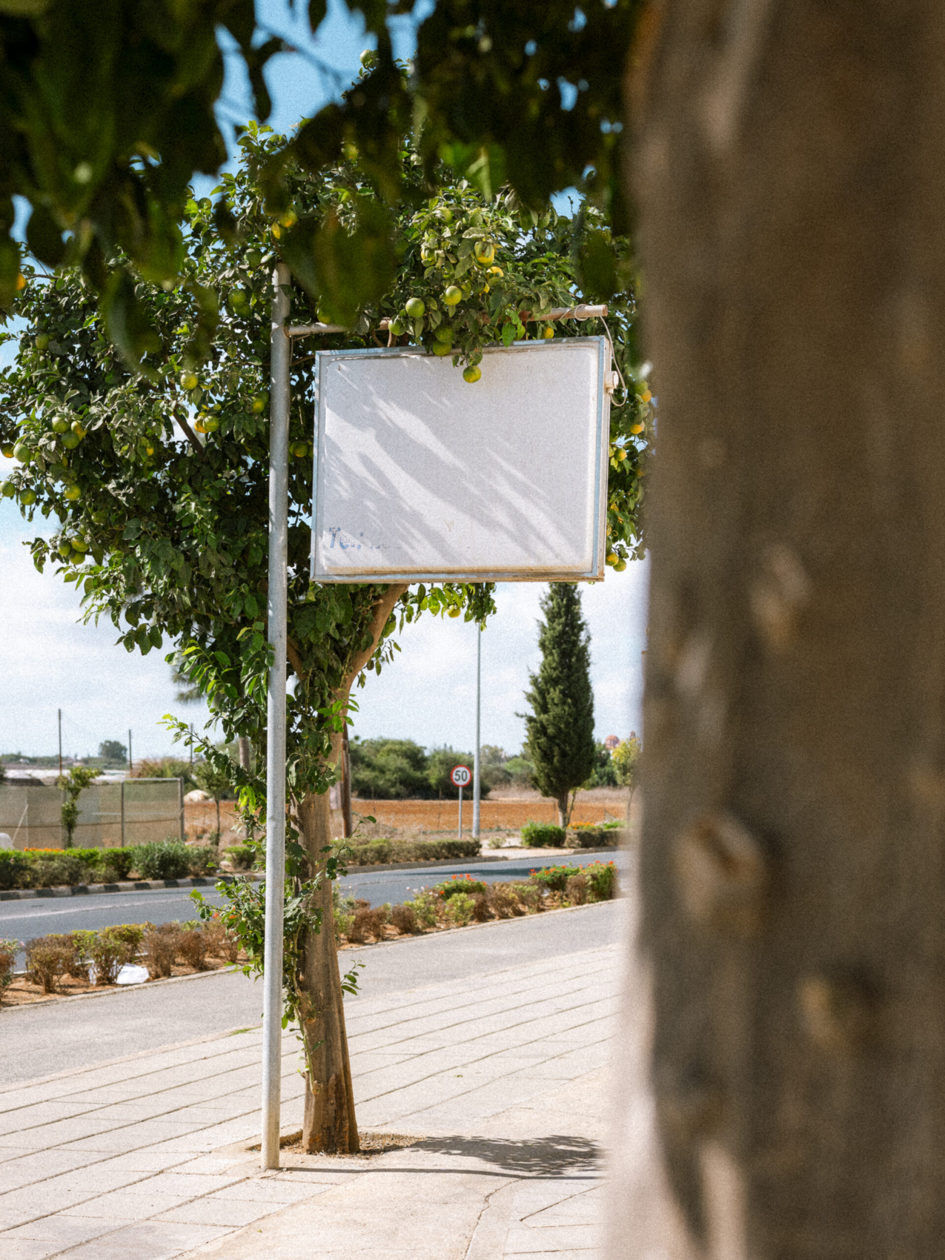 Philip_Liljenberg_Cypern_39