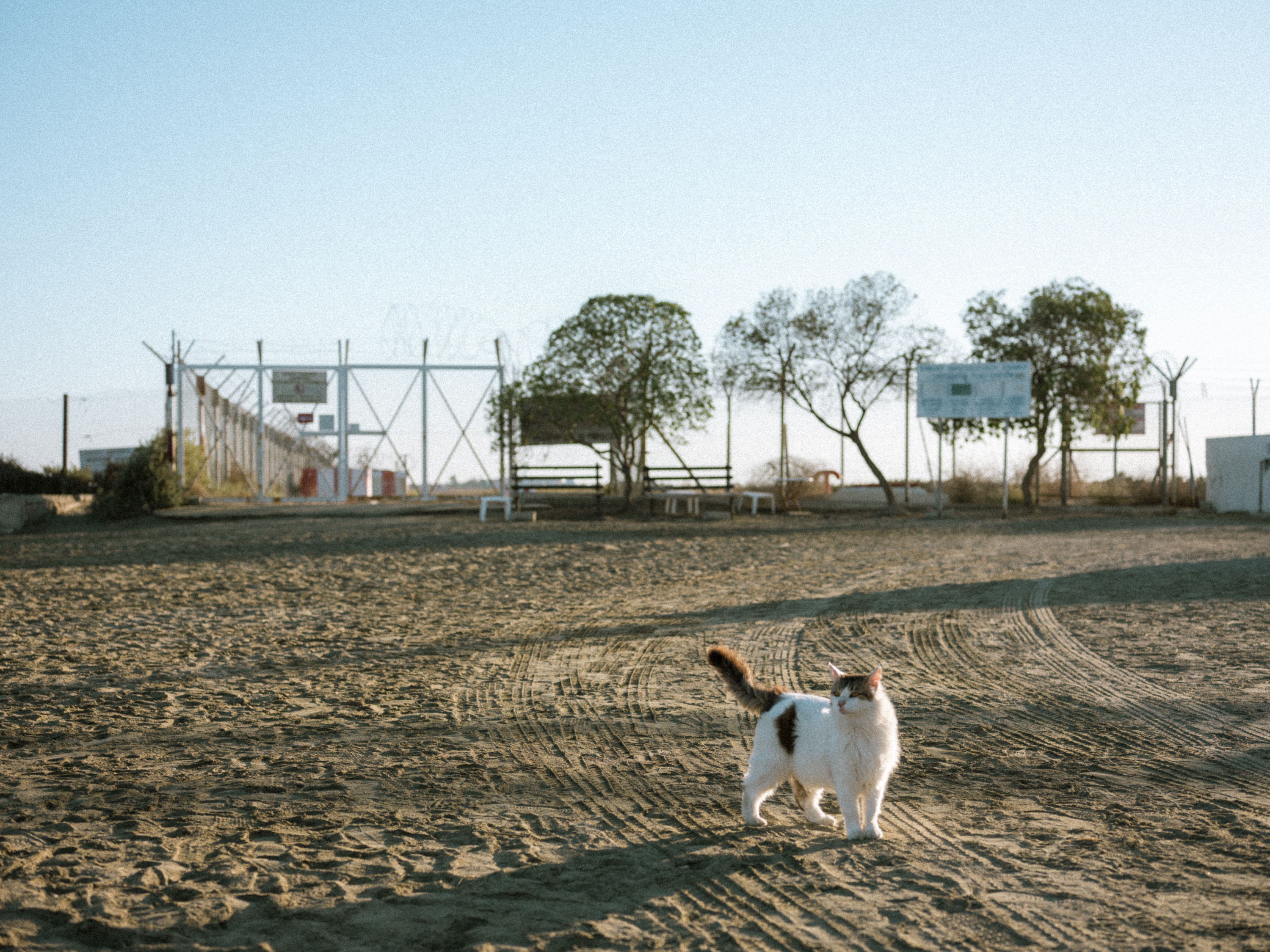 Philip_Liljenberg_Cypern_84