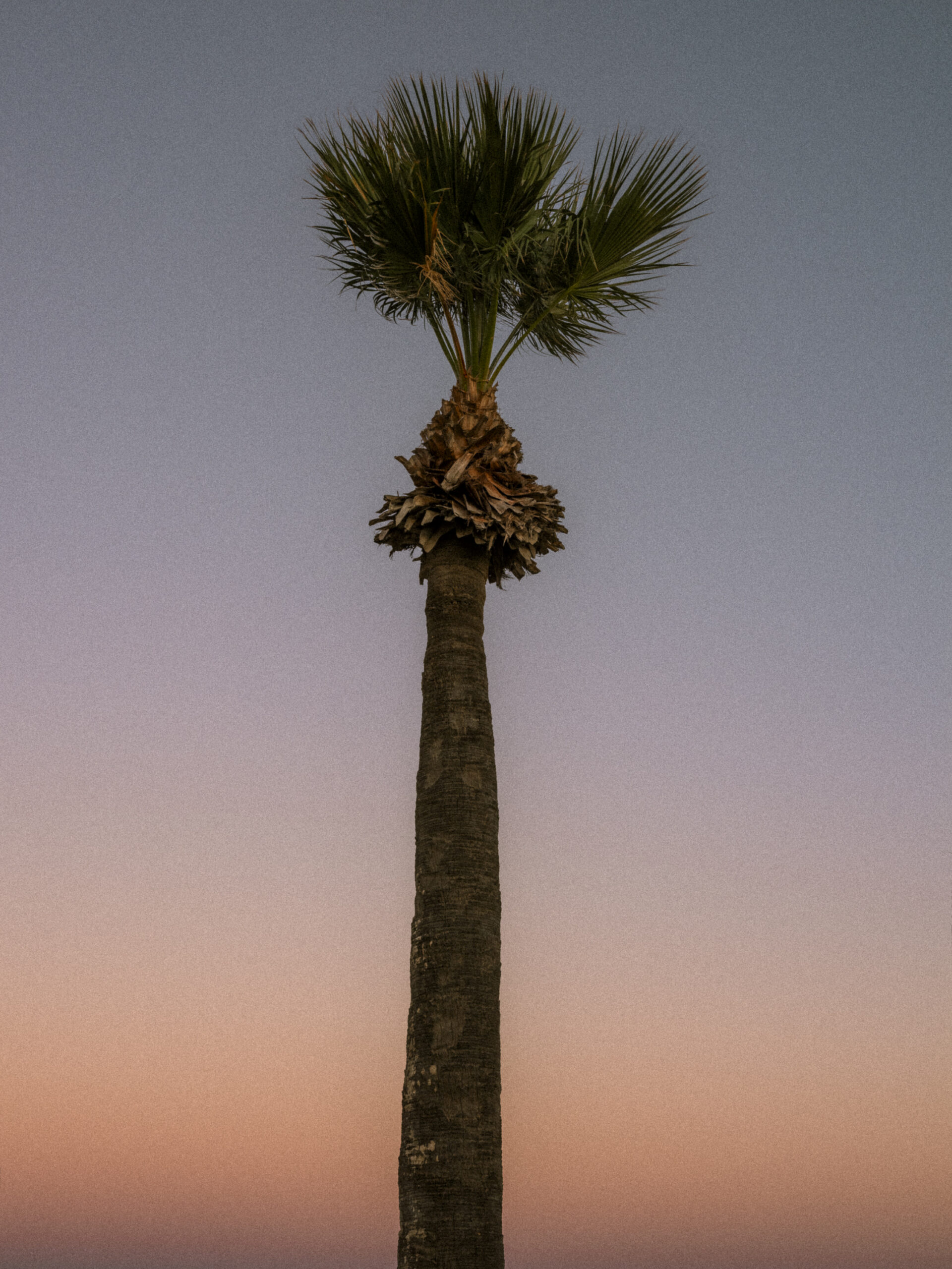 Philip_Liljenberg_Cypern_89