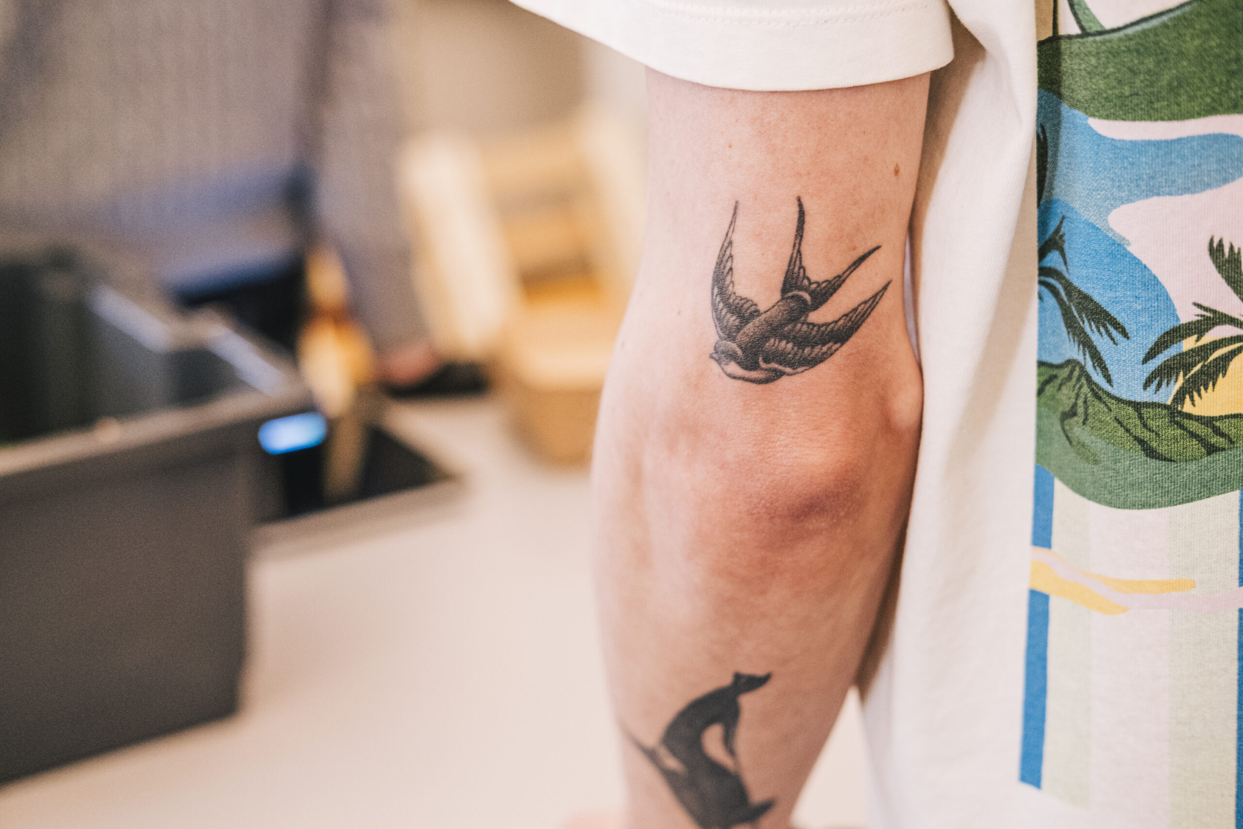 Philip_Liljenberg_260302_Mikrogården_Svalan_Tattoo